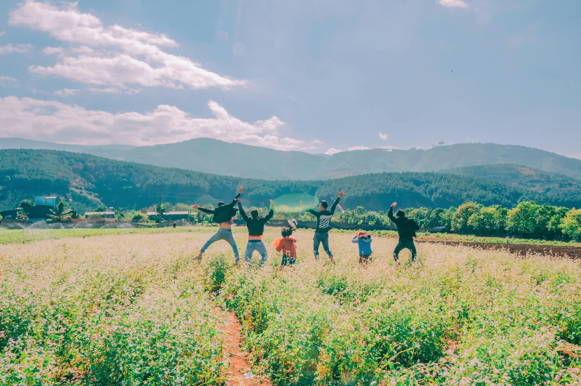 five people jumping in open field
